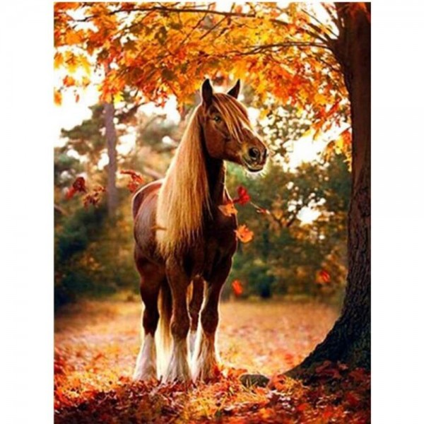 Paard in de herfst