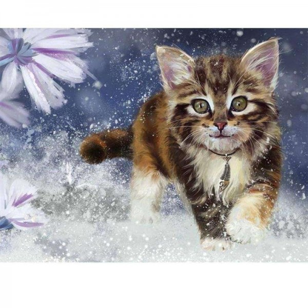 Kitten in de sneeuw