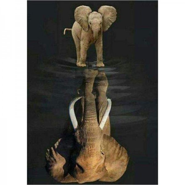 Olifant spiegelbeeld