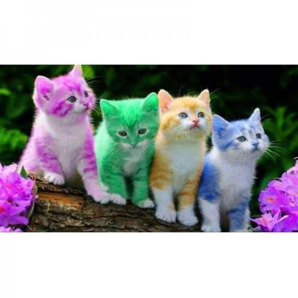 Gekleurde katjes