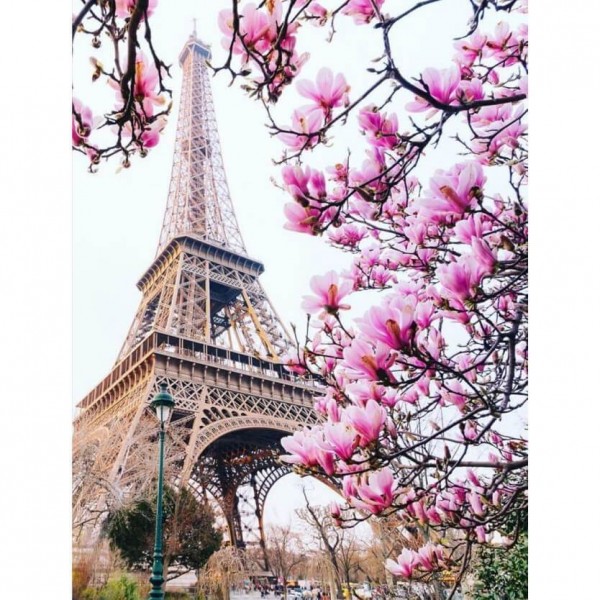 Eiffeltoren met bloesem