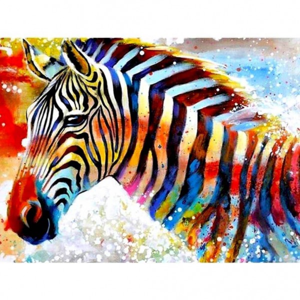 Kleurrijke zebra