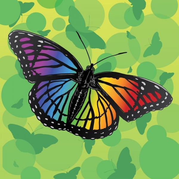 Regenboog vlinder