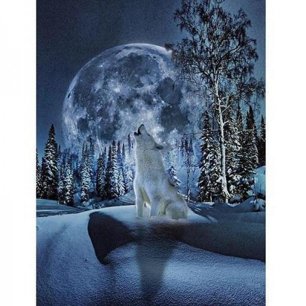 Wolf in sneeuwlandschap