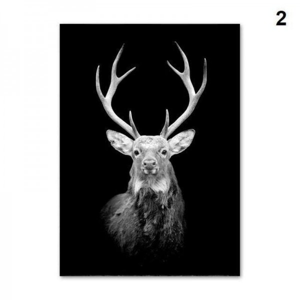 Zwart/Wit dieren | 12 soorten