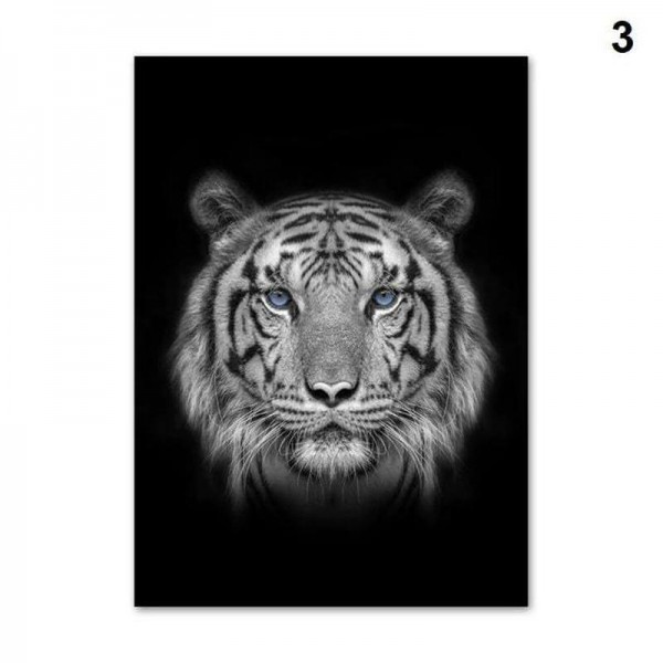 Zwart/Wit dieren | 12 soorten