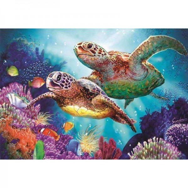 Kleurrijke schildpadden