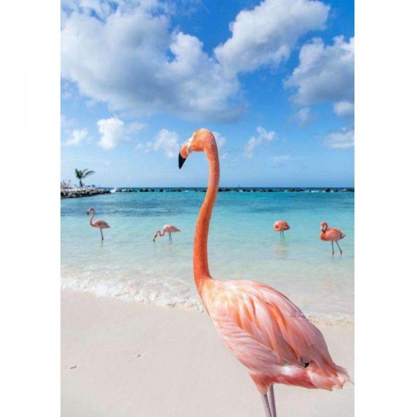Flamingo's op strand