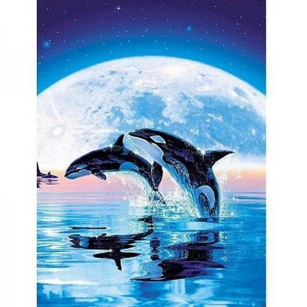 Springende orca's