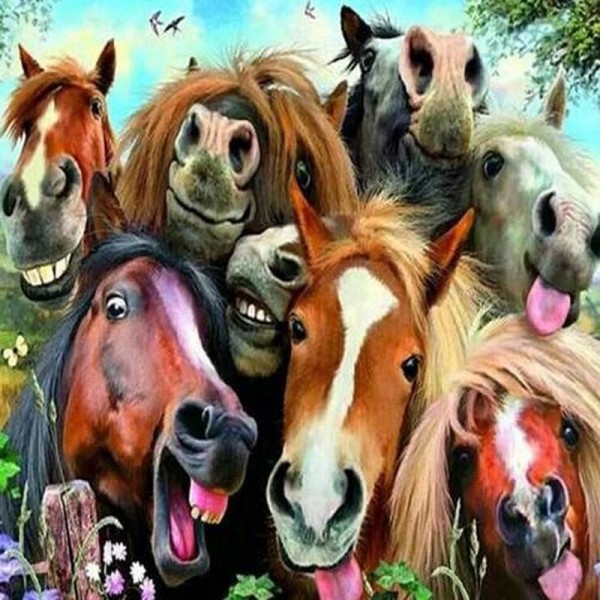 Paarden selfie