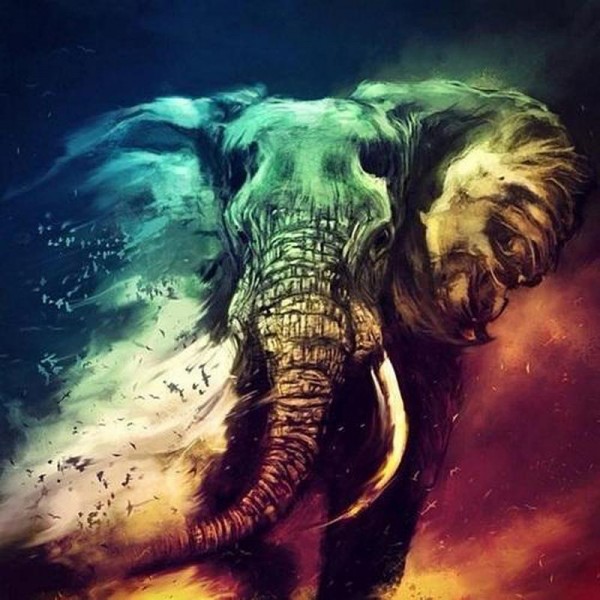 Gekleurde olifant