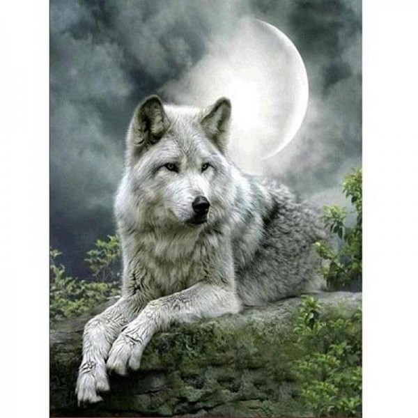 Wolf bij maanlicht