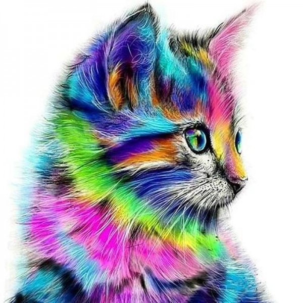 Gekleurde kat