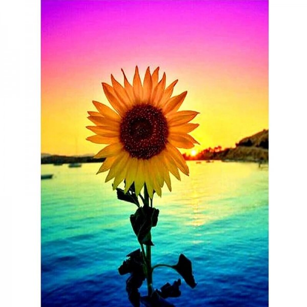 Zonnebloem in de schemering