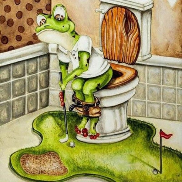 Kikker op toilet | 7 soorten