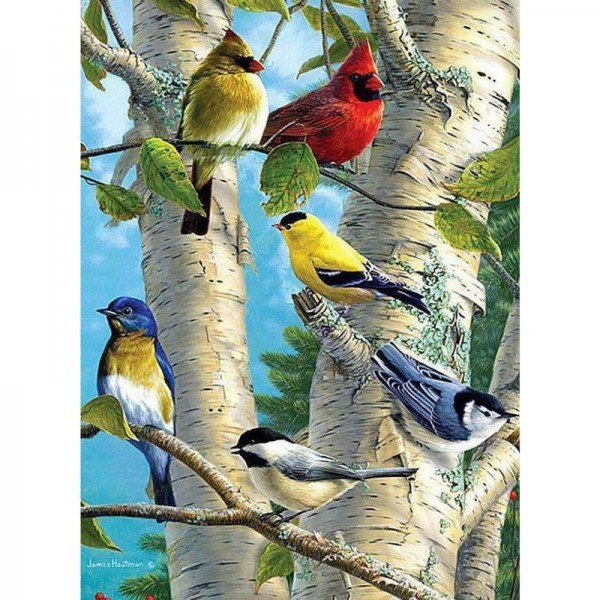 Gekleurde vogels