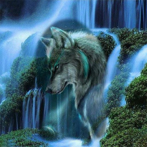 Wolf met waterval