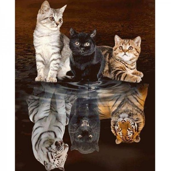 3 Kittens weerspiegeling