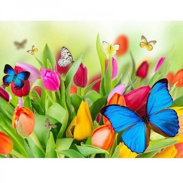 Vlinders en tulpen