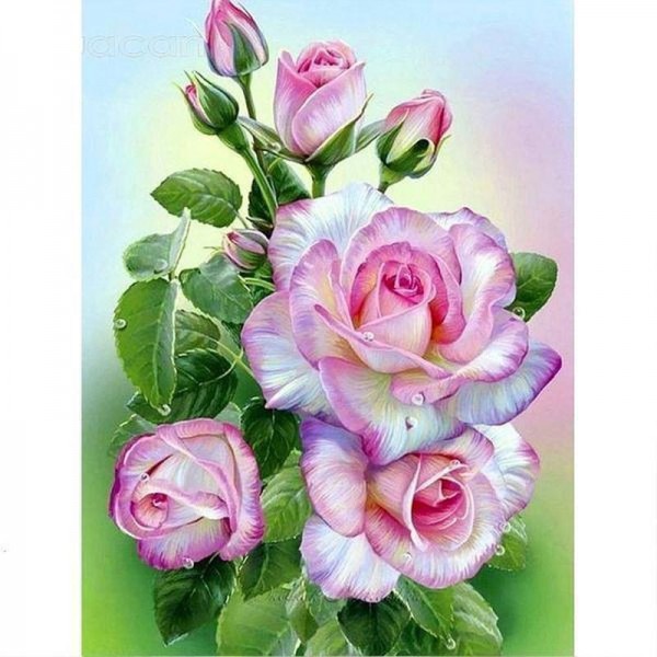 Roze plant